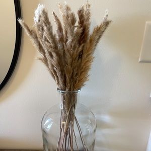 Dried Pampas Grass